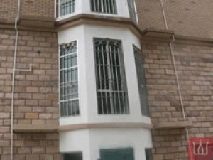 Siltstone community