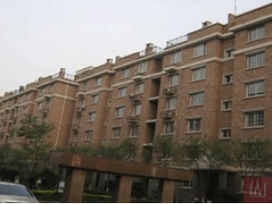 Siltstone community